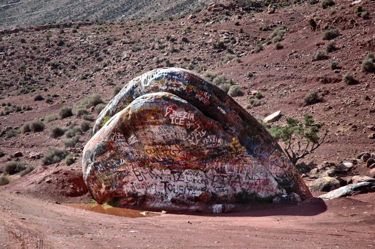 pexels-photo-15139292