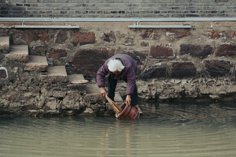 pexels-photo-29900813