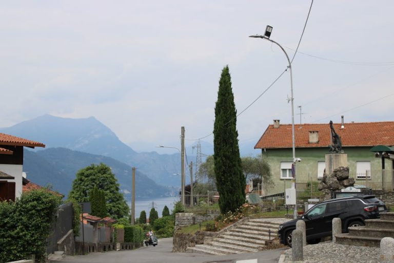 pexels-photo-33102247