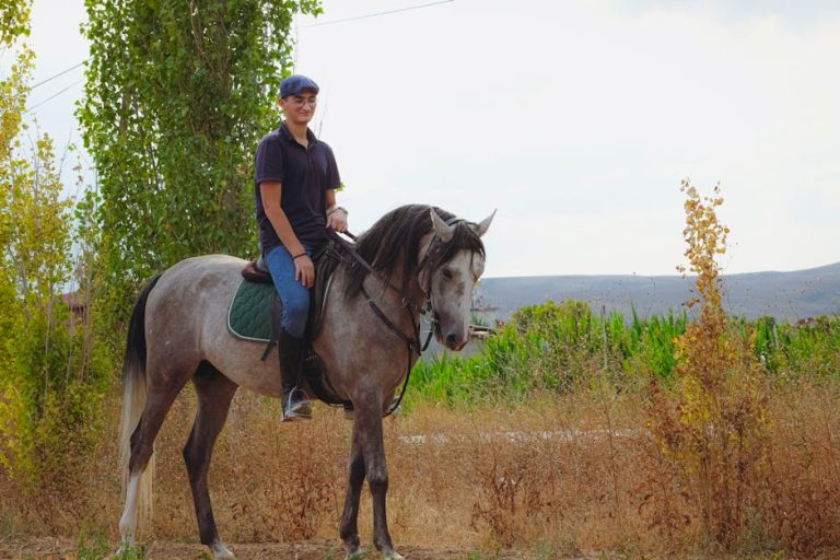 pexels-photo-33924814